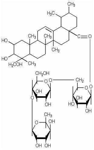 아시아티코사이드 그림