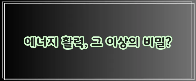 비타민 B 효능 정말 중요하죠!