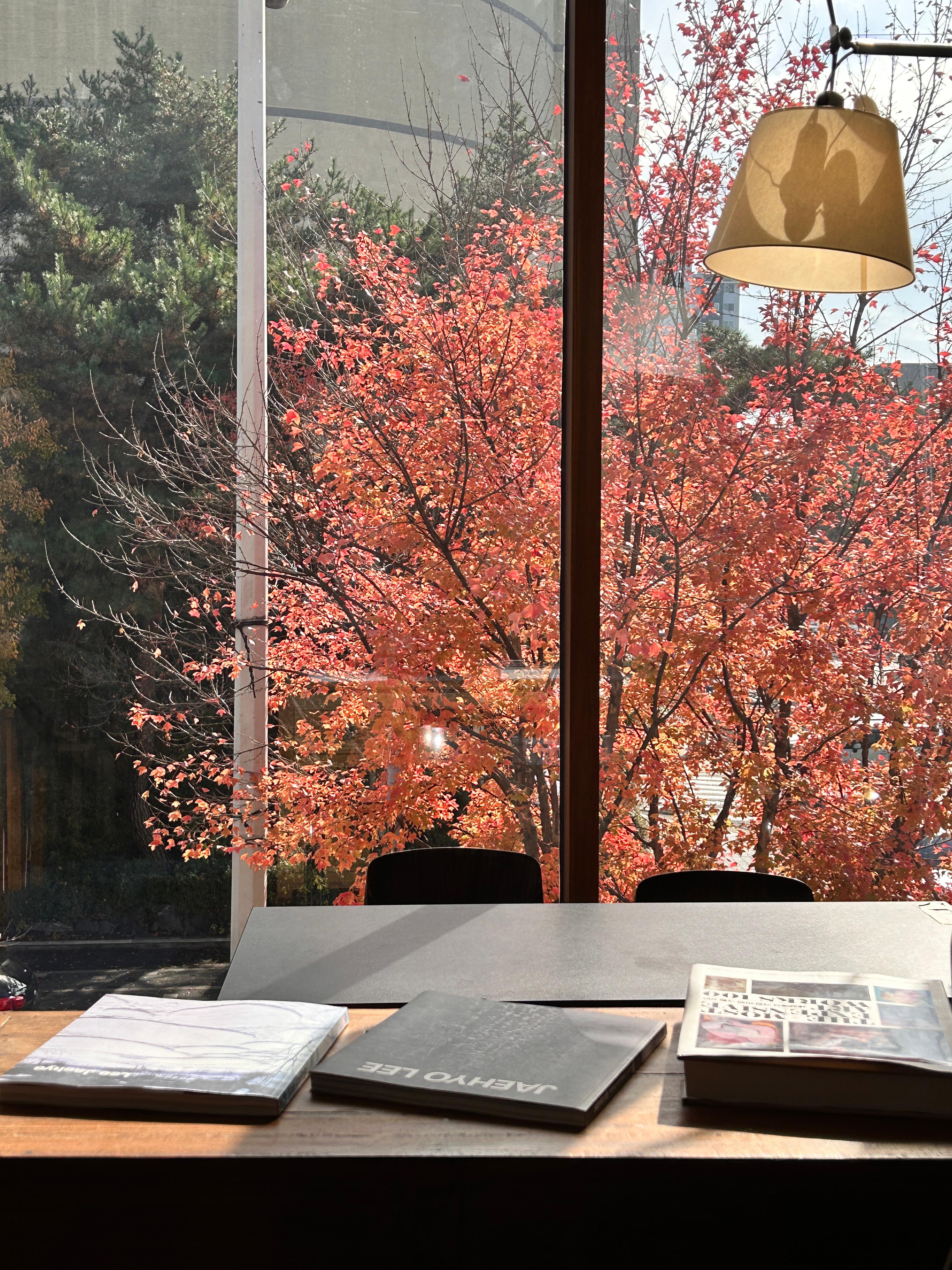 MLMC-감성적인-창가