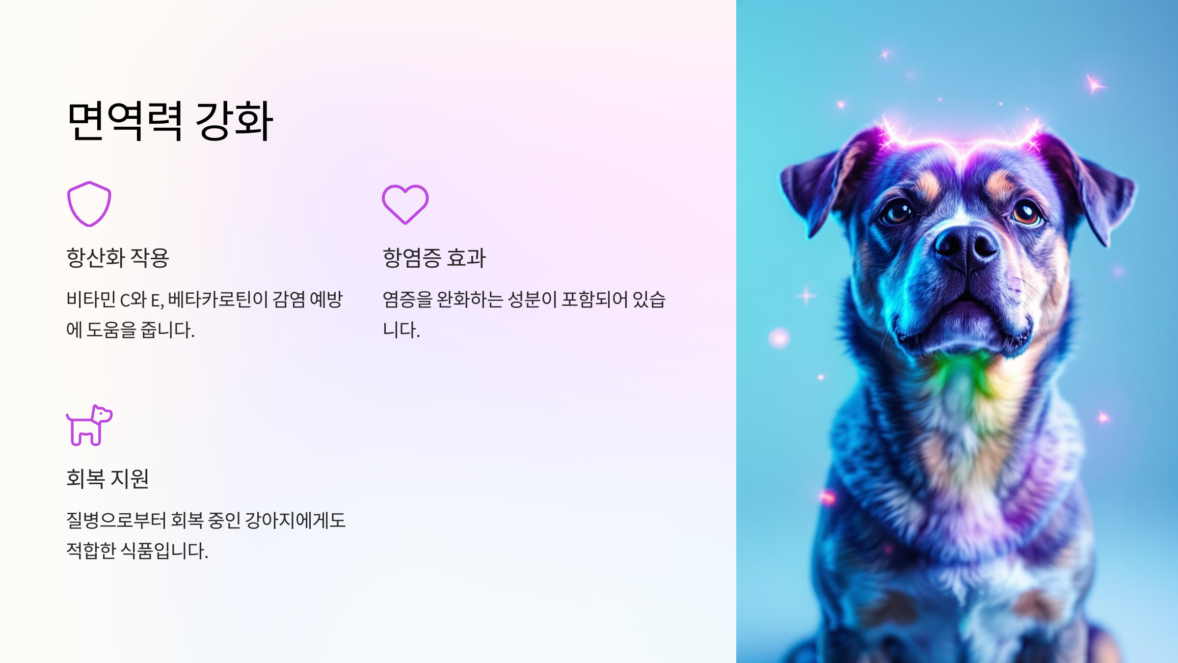 면역력 강화