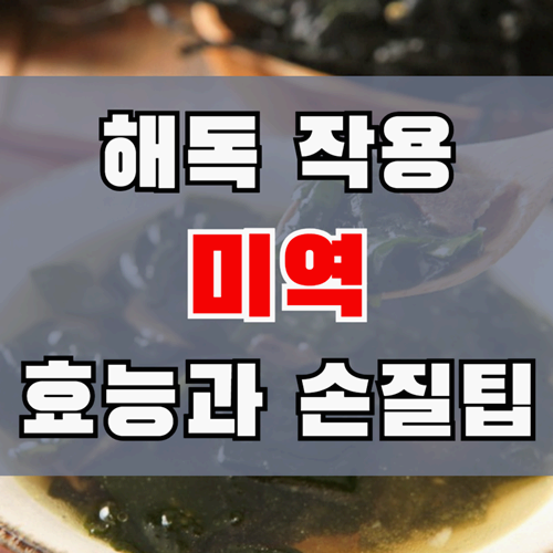 몸 속 정화 미역 효능과 보관법