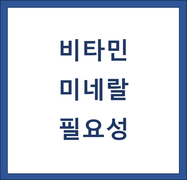 비타민 미네랄 필요성