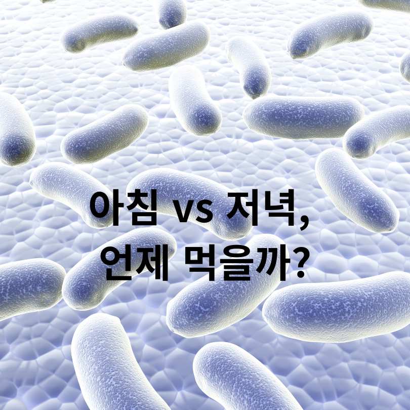 유산균 복용시간별 효과 차이와 올바른 섭취법