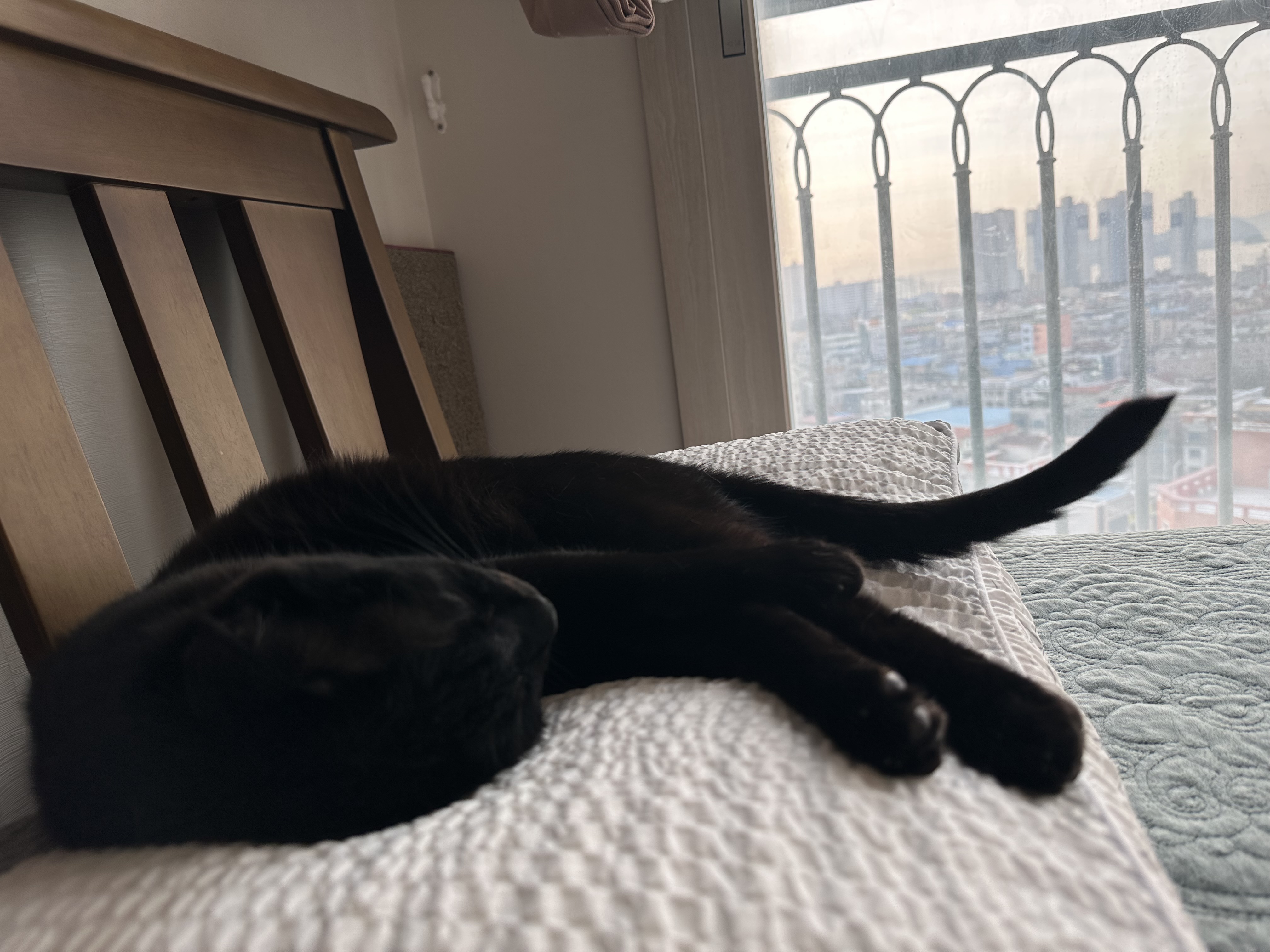 보고 있지 않아도 마음이 통하는 사이.