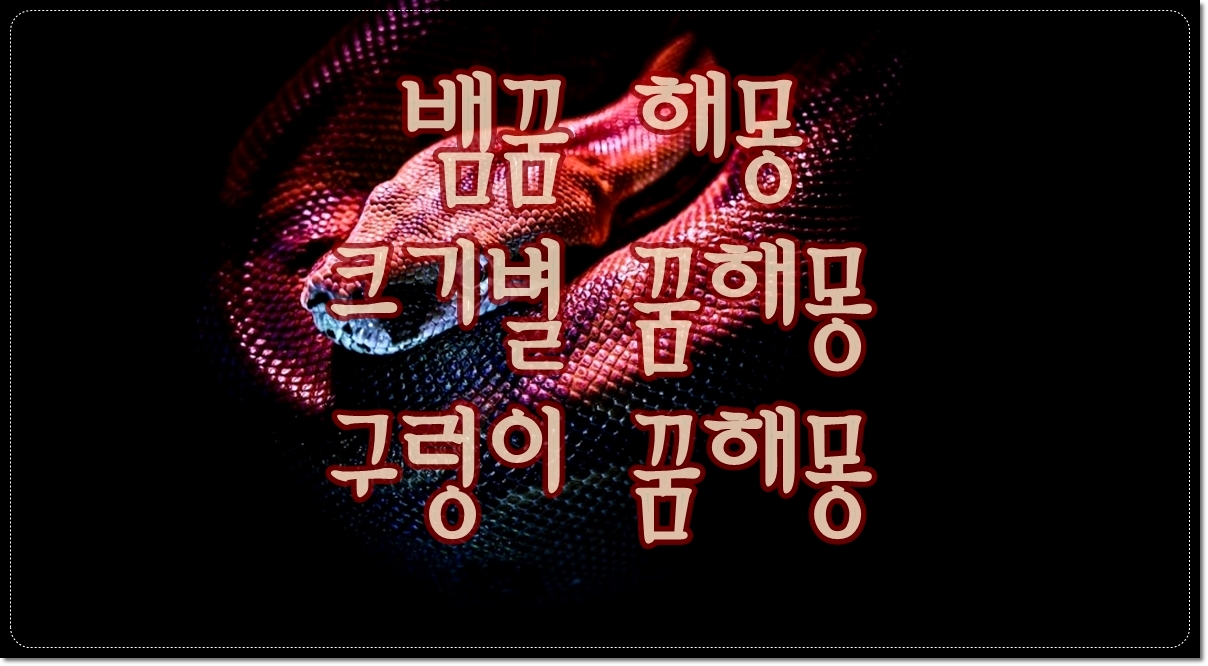 뱀꿈-해몽-뱀-나오는-꿈-뱀에-물리는-꿈-구렁이 꿈