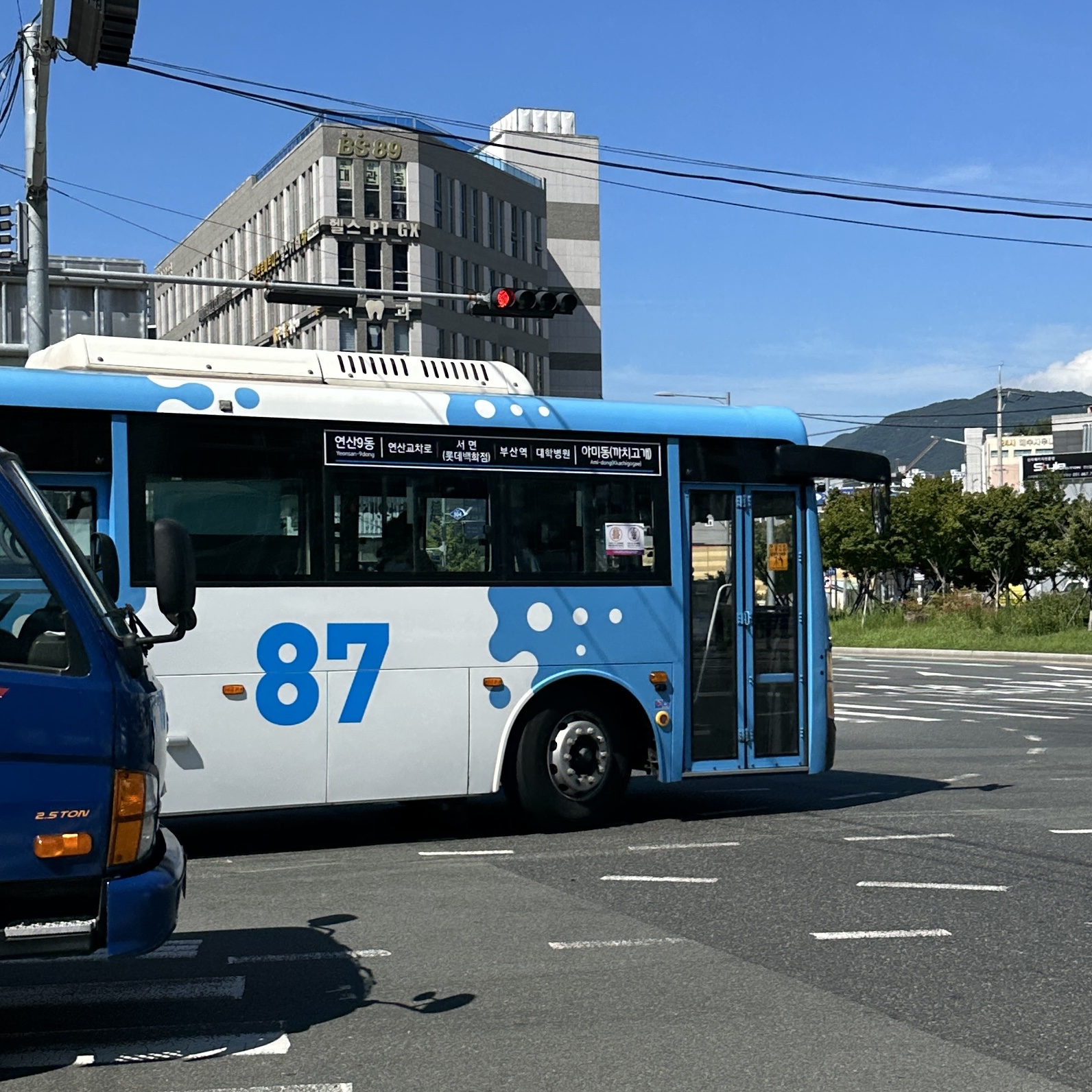 부산87번버스