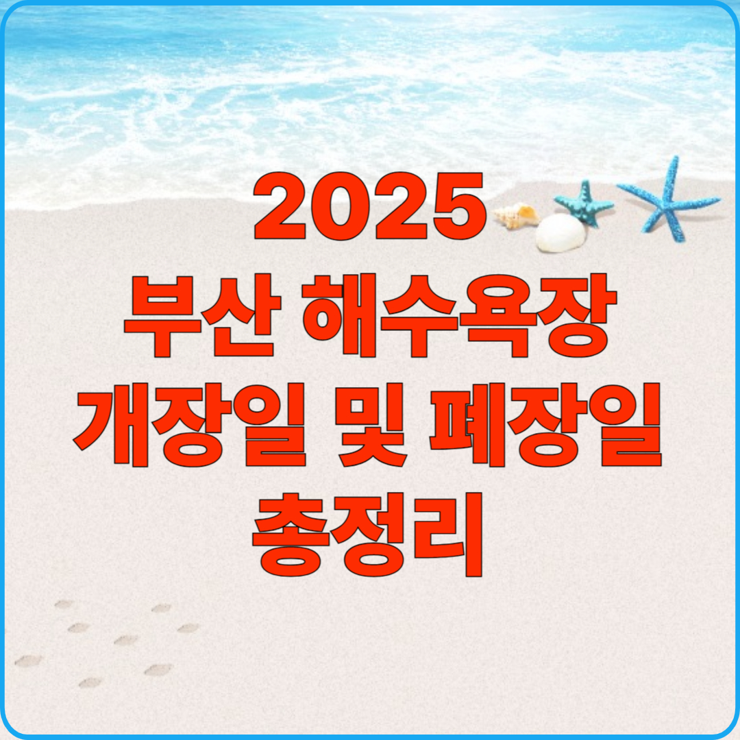 2025 부산 해수욕장 개장일 및 폐장일 총정리