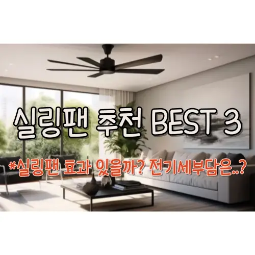 썸네일-사진
