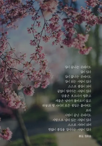 정호승 봄길 명시 10선_9