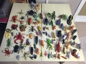 곤충과 동물의 차이점 생물 분류 기준과 이해 돕기_23