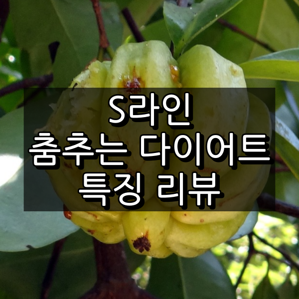 S라인 춤추는 다이어트 대표 이미지