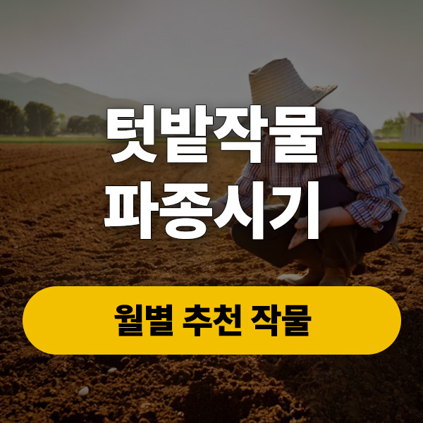 텃밭작물파종시기, 월별 추천 작물
