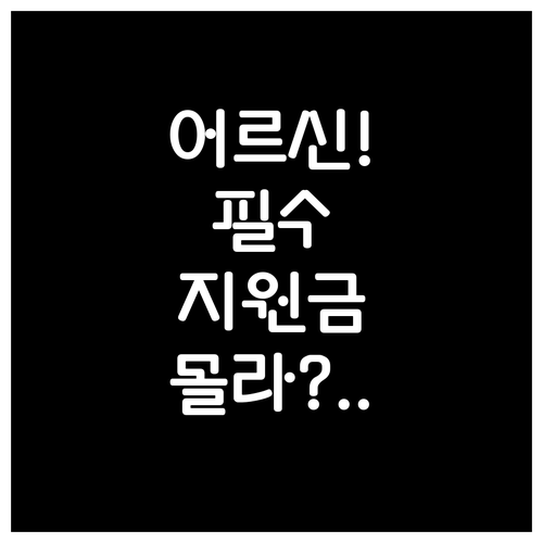 어르신 놓치지 말아야 할 2026년 ..