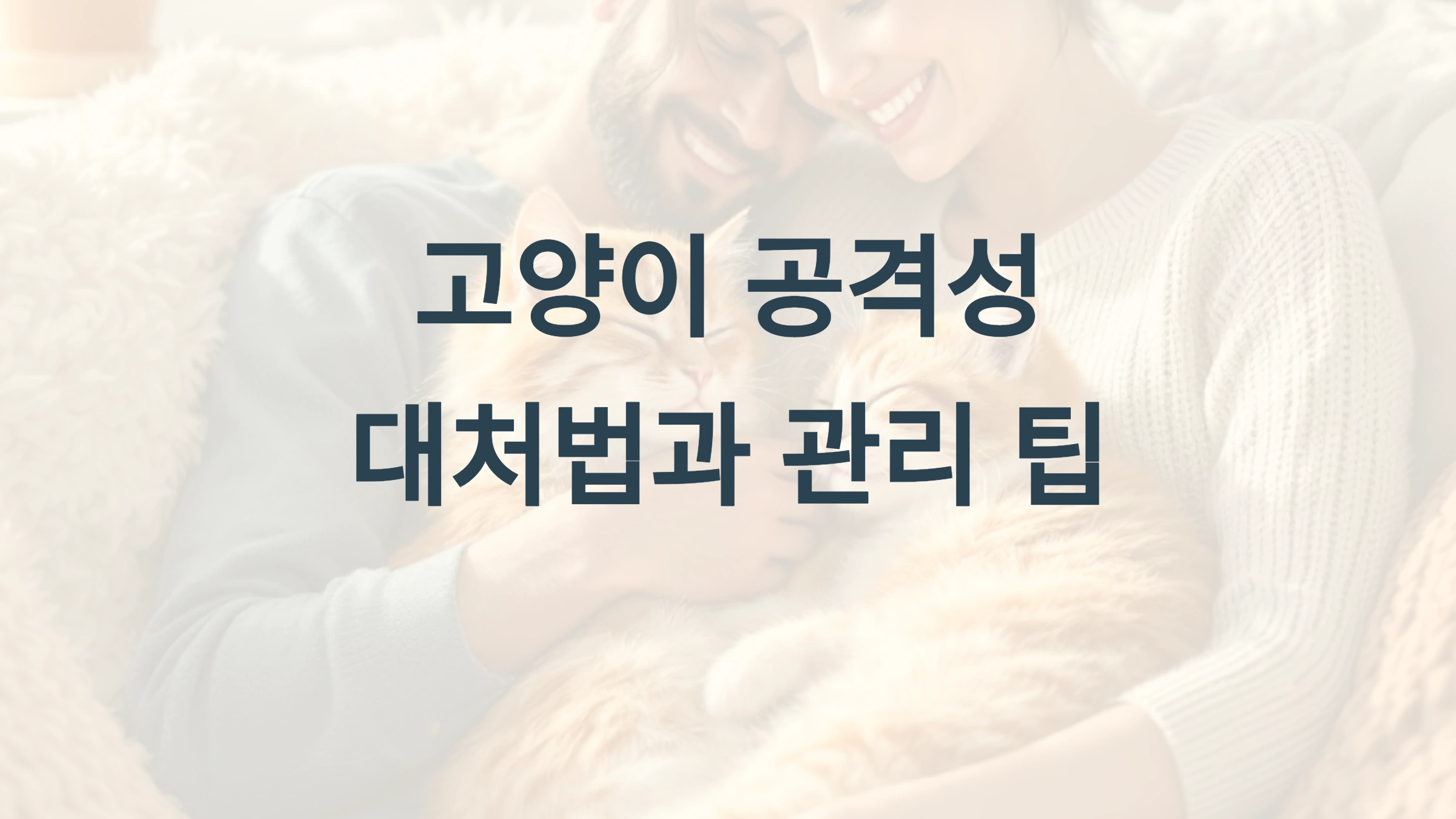 즉각적인 대처 방법