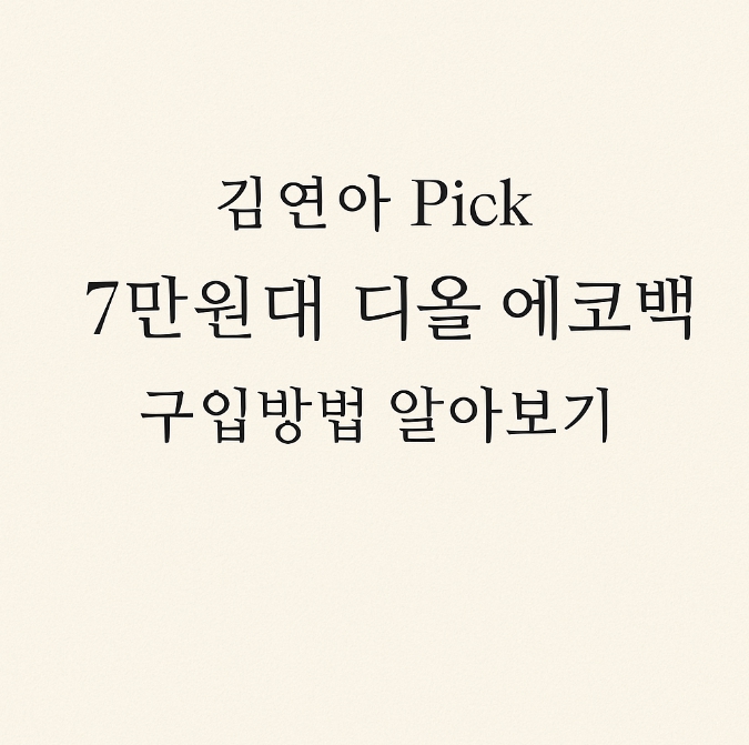 김연아 디올 에코백 7만원대 구입 가능