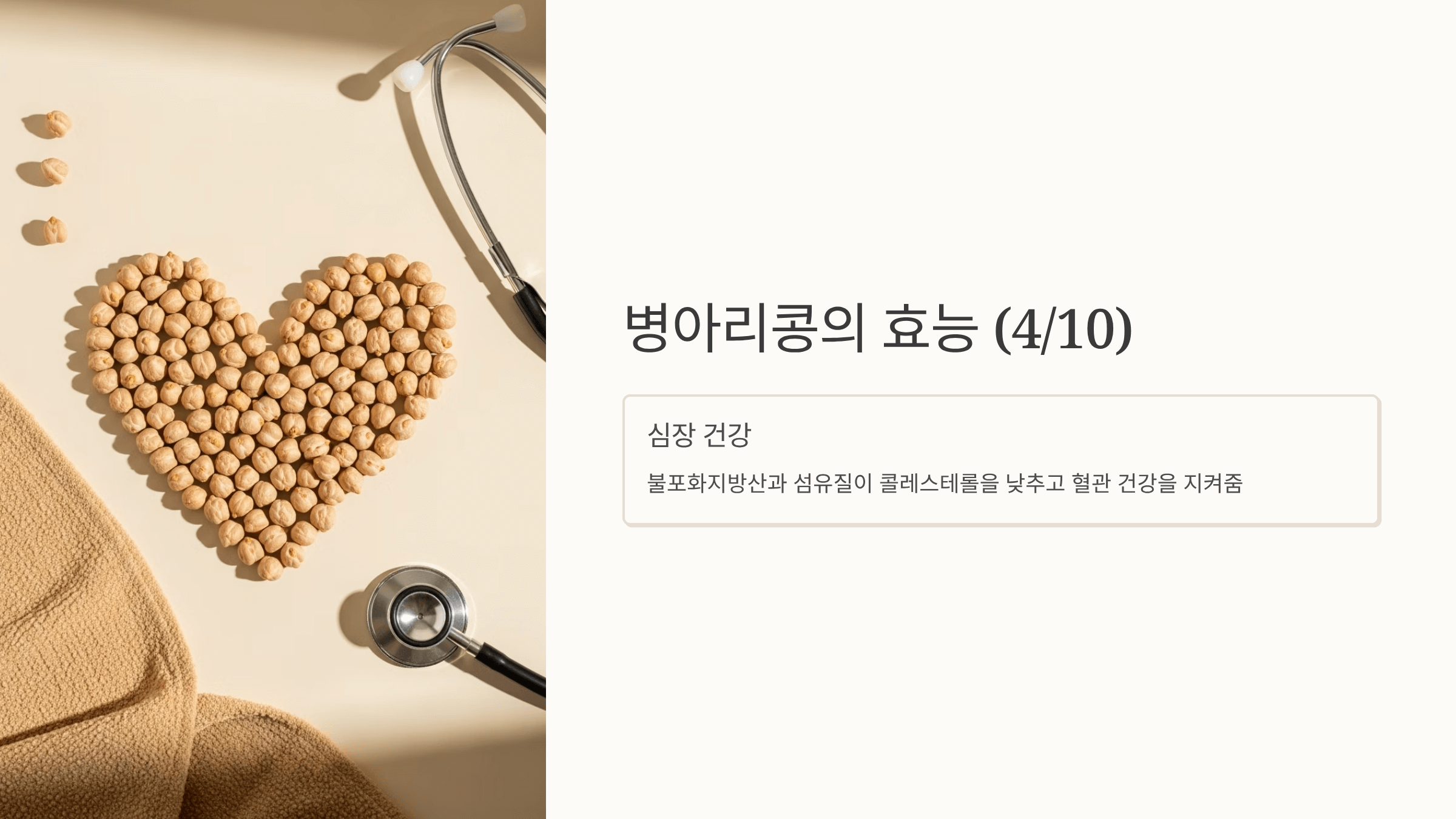 병아리콩 사진입니다.