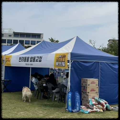 포항에서 반려동물과 함께하는 힐링 페스티벌, 놓치지 마세요!