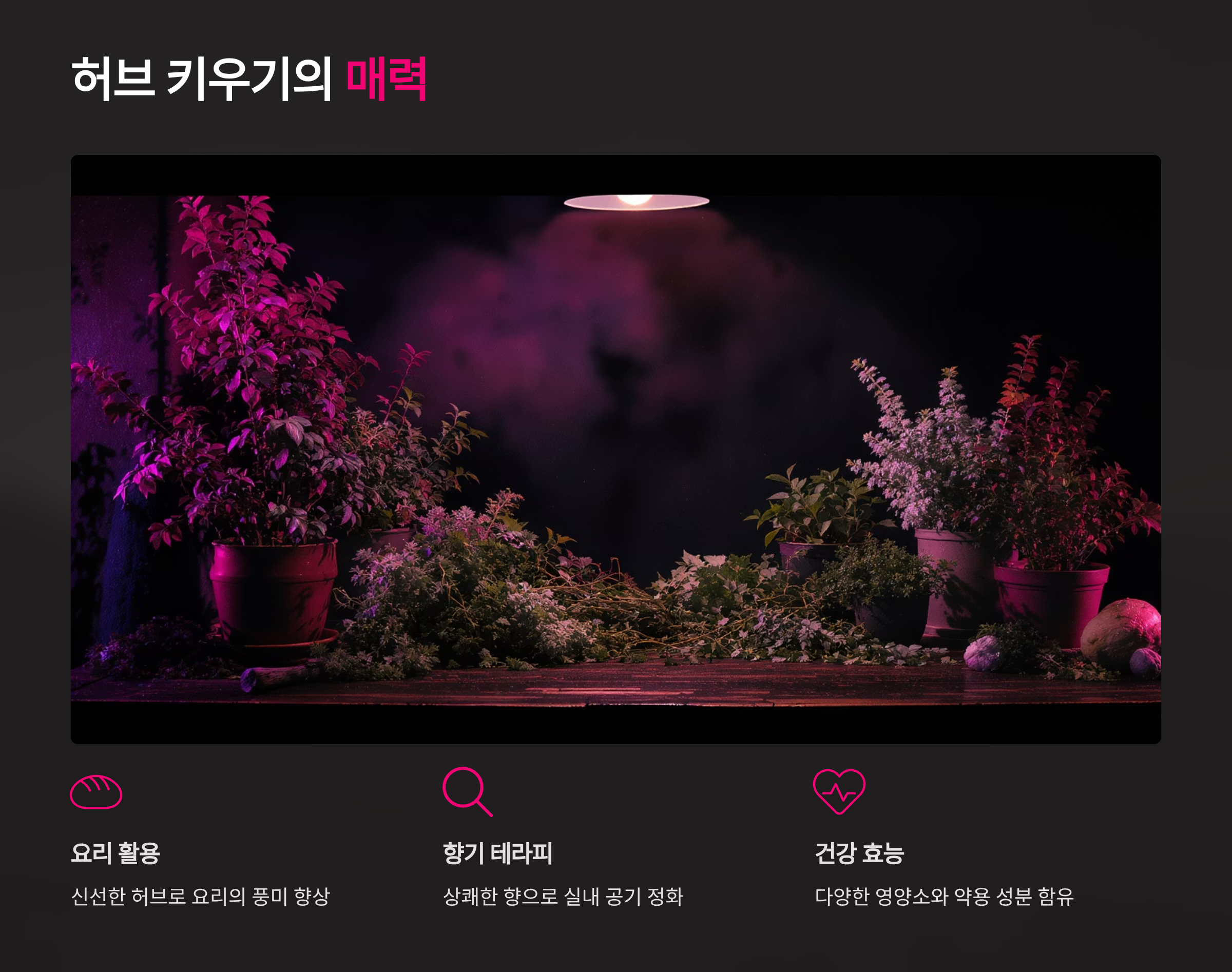 허브 키우기의 매력과 장점
