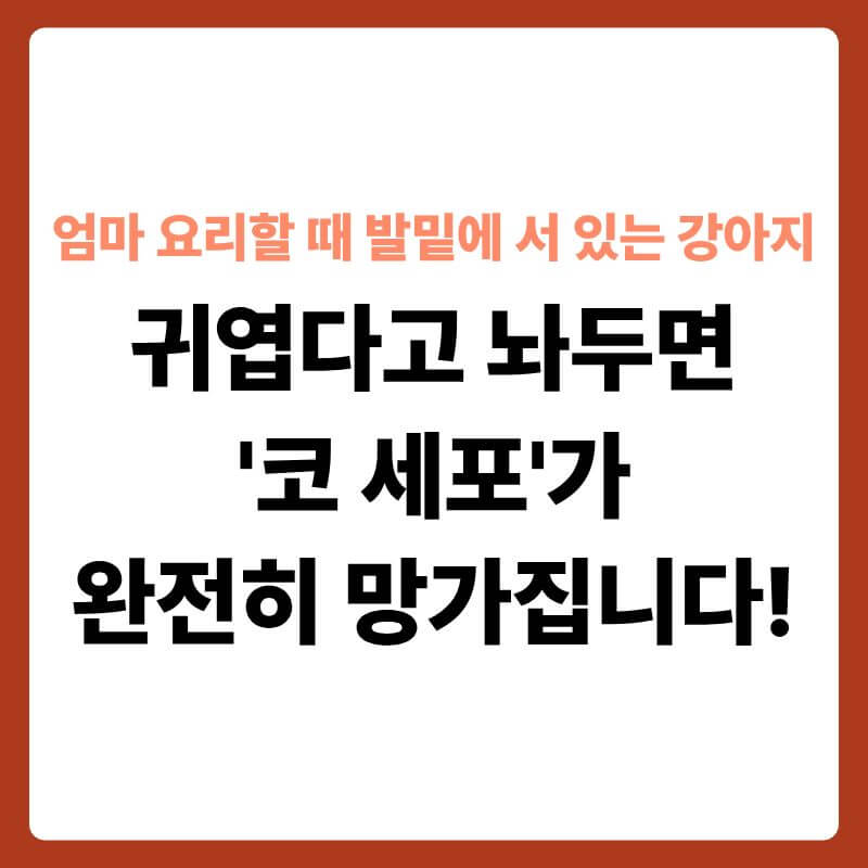 가스레인지 위에 찌개가 끓고 있는 주방 바닥 싱크대 아래에 서서 위를 올려다보고 있는 강아지의 모습 옆으로, 주방 대기층의 가스 밀도를 투명한 3D 과학 그래픽으로 묘사한 장면