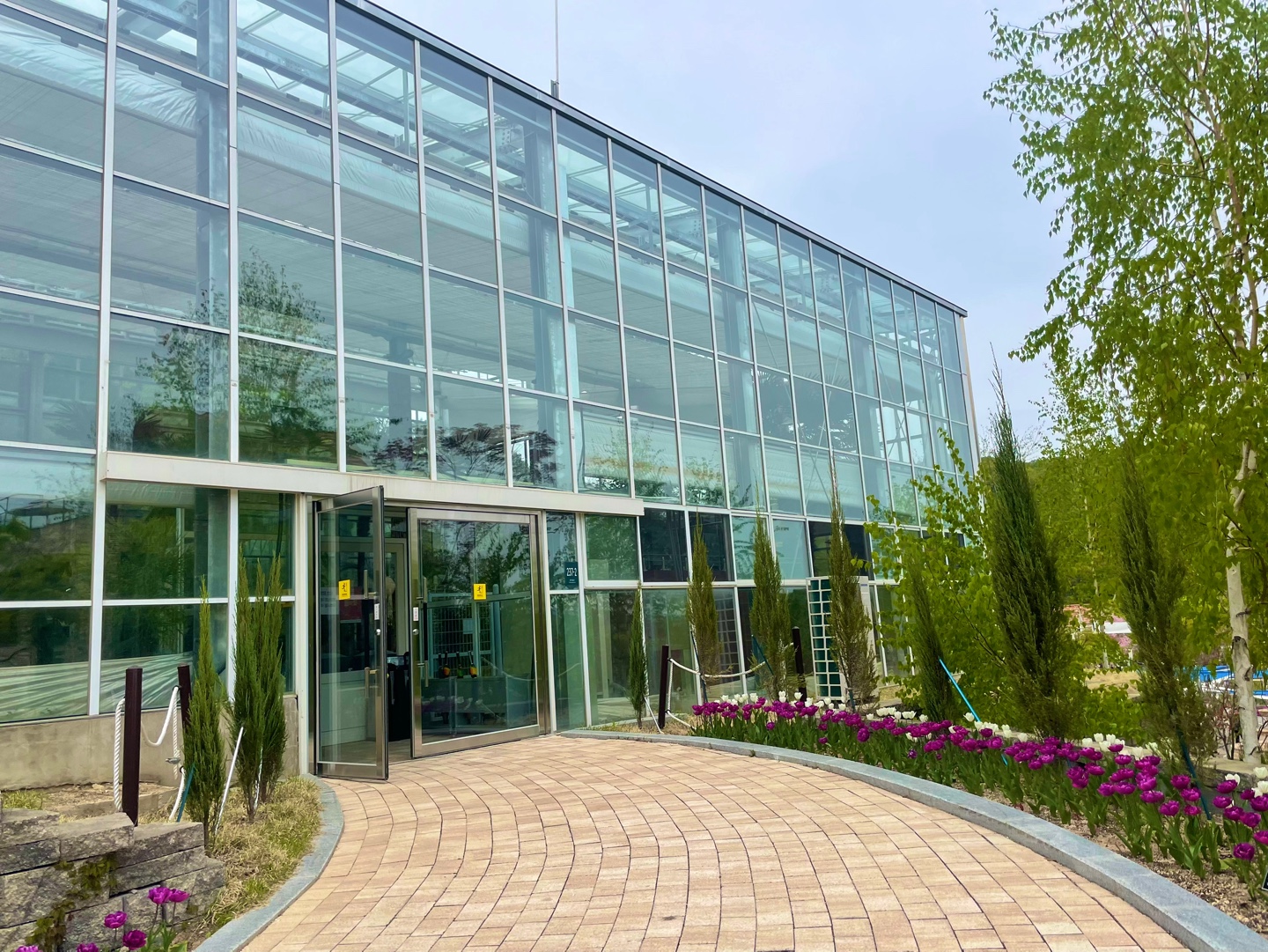 용인 자작나무숲 베툴라 대형 베이커피 카페