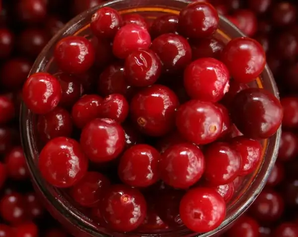 신우신염-좋은음식-크랜베리