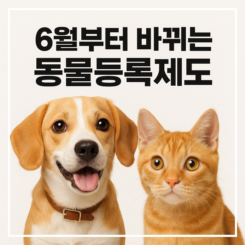 6월부터 바뀌는 동물등록제도