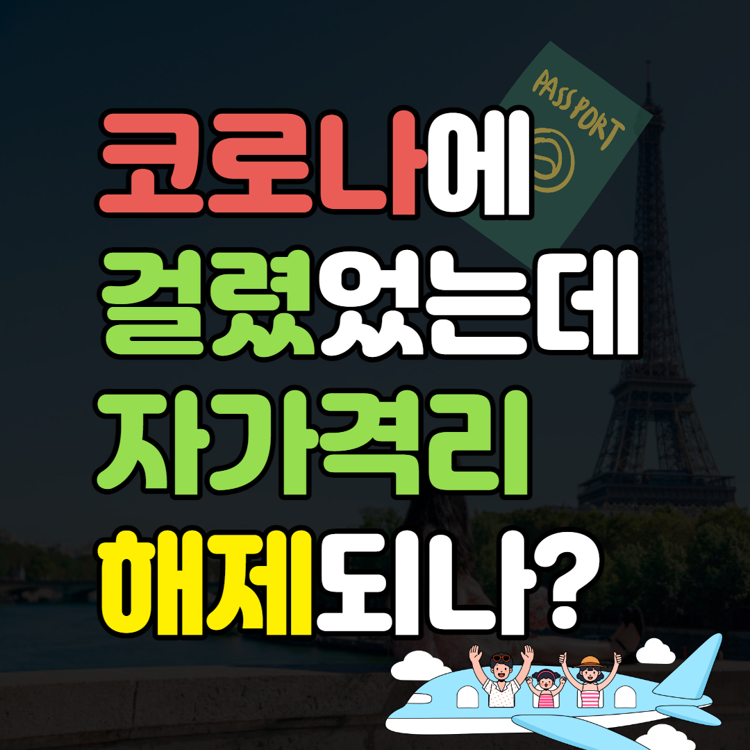 ํด์ธ์
๊ตญ ์๊ฐ๊ฒฉ๋ฆฌ ๋ฉด์ (ํ๊ตญ์
๊ตญ ์ ์ฐจ)