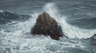 강철 멘탈은 어떻게 만들어지는가 (Wisdom)
타이탄의 도구들 멘탈 관리 두려움 극복