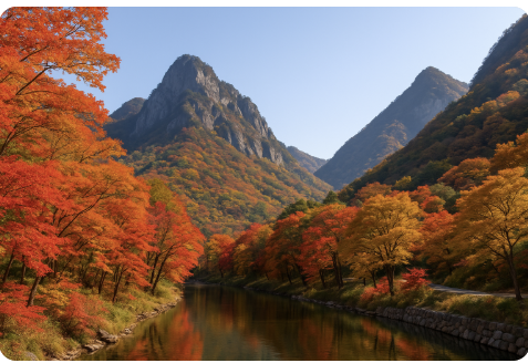 충북 단풍명소 TOP5 ❘ 가볼만한 곳 여행 추천 관련 사진