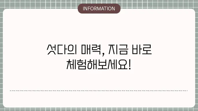 섯다 게임 규칙 및 진행 방식