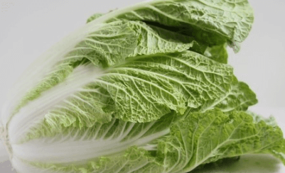 맛있는 배추 잘고르는 법 배추요리