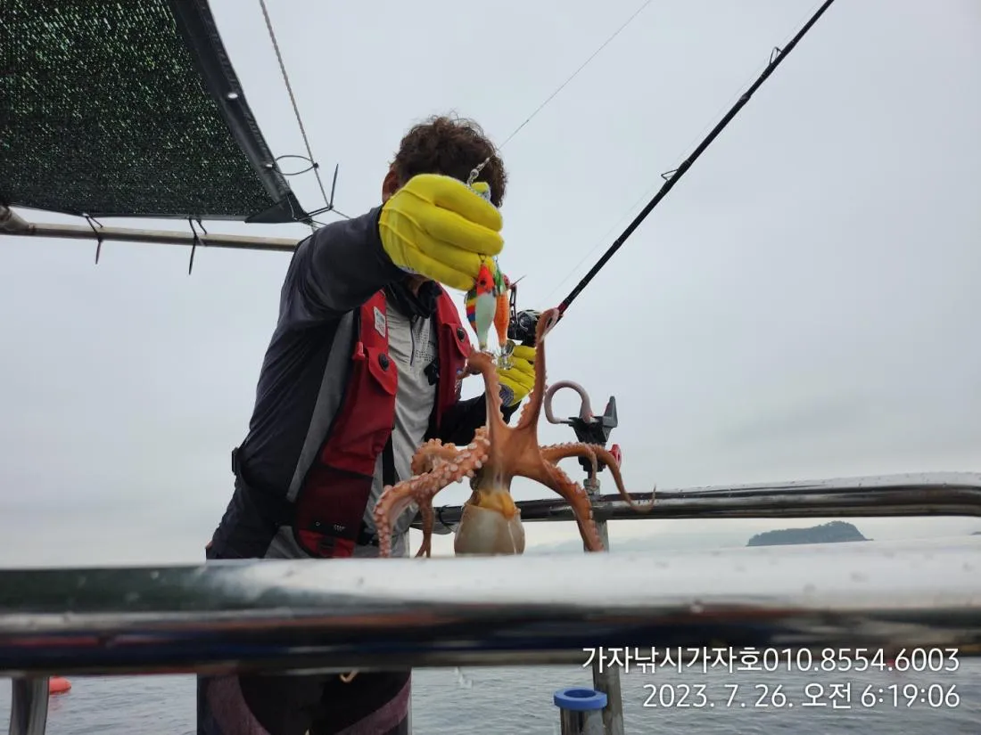 디낚 점주 조황 전국 바다낚시 출조 꿀팁_3