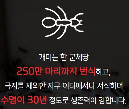 바퀴벌레 퇴치방법