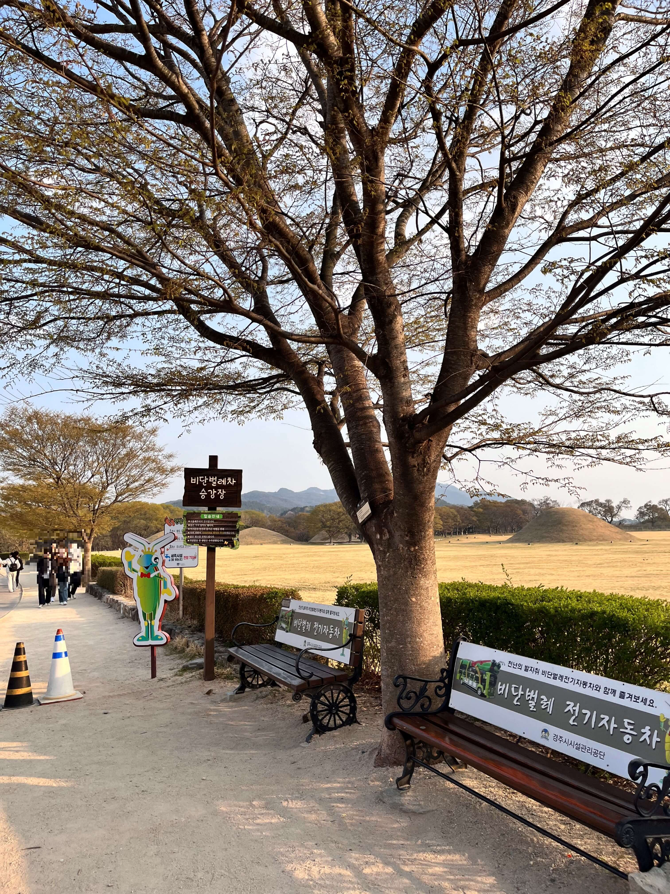 비단벌레차