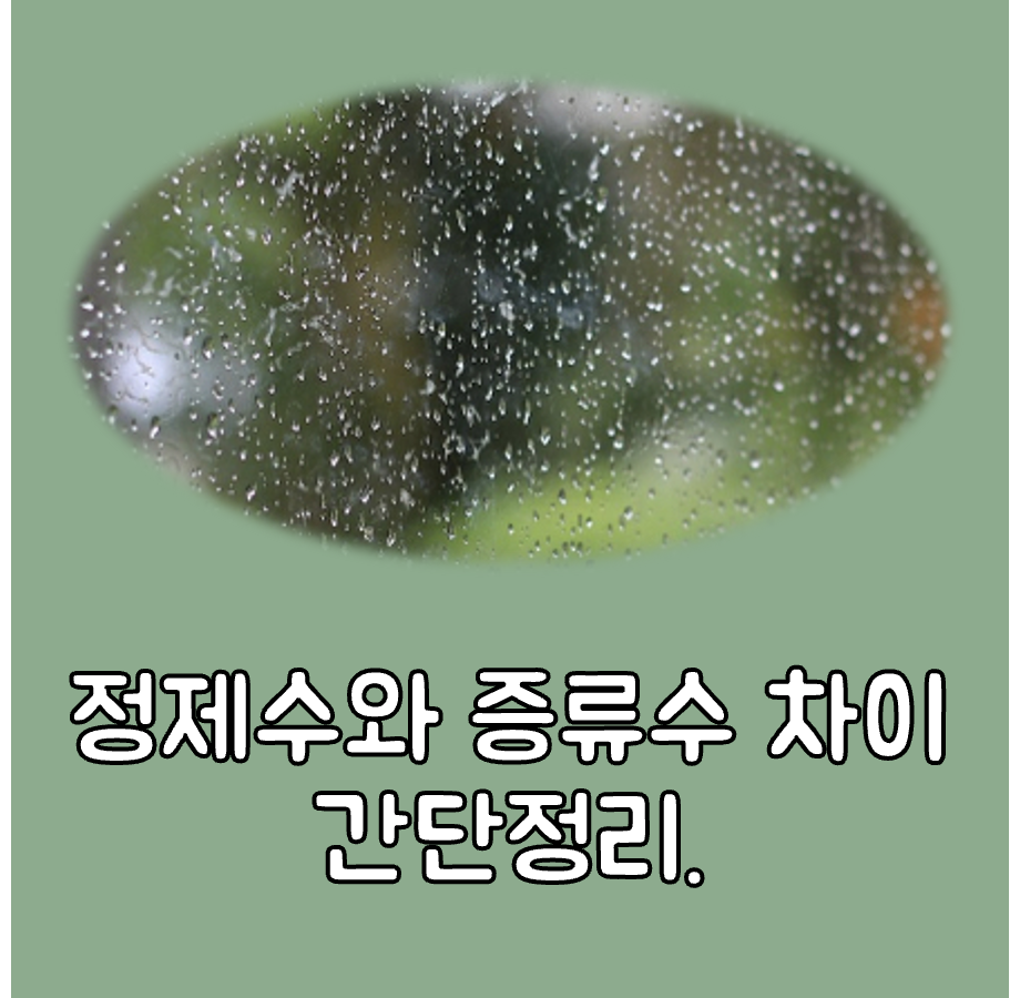 정제수와 증류수 차이 대표이미지