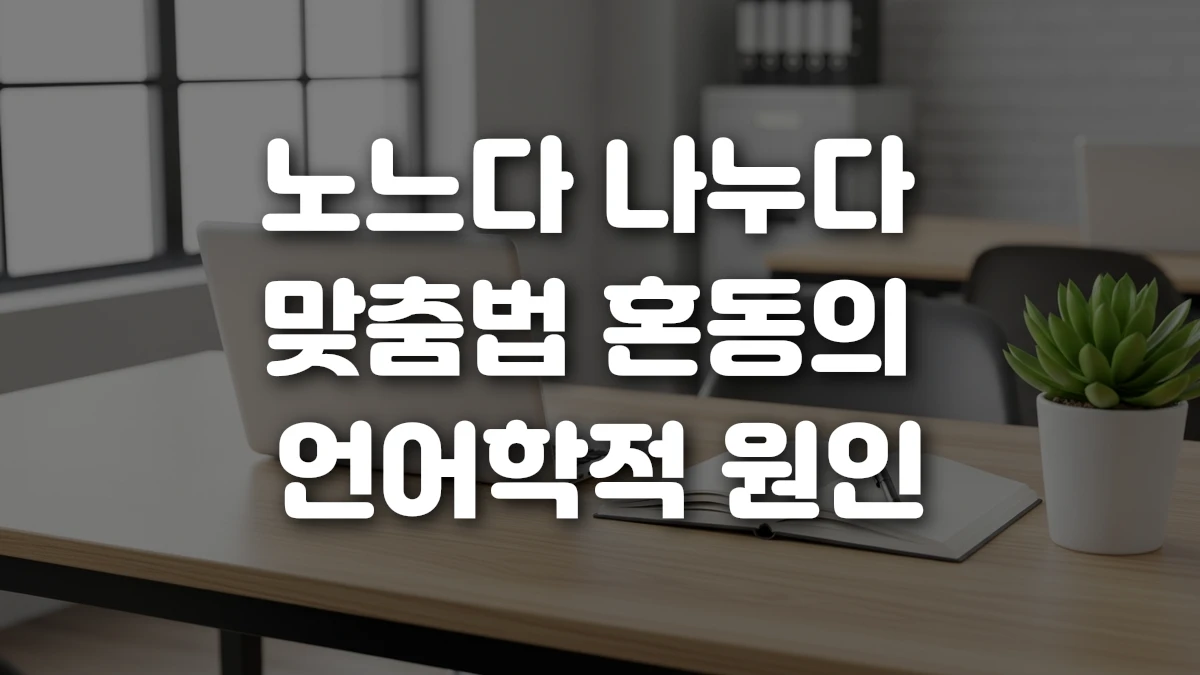 노느다 나누다 맞춤법 혼동의 언어학적 원인