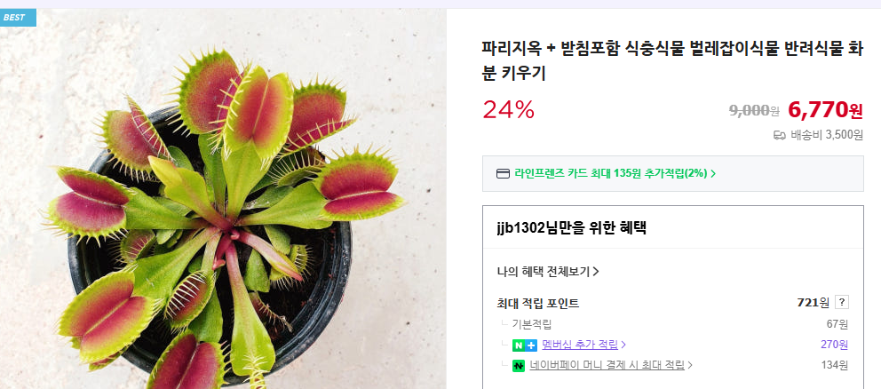 파리지옥 키우는 방법 및 먹이 (+ 물주기 분갈이 번식 방법)