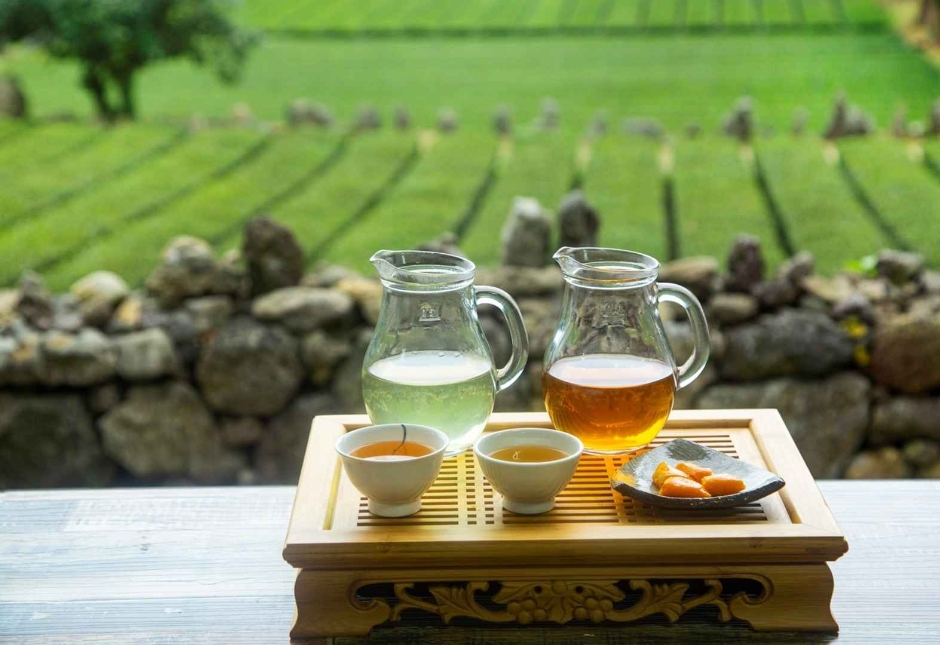 제 27회 야생차 문화축제 기본정보와 프로그램 정보 소개