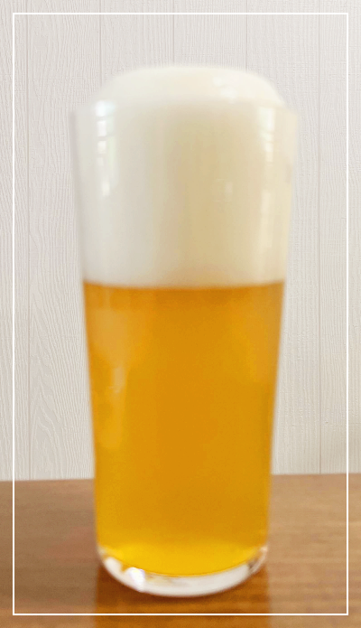 아리비어 곤드레 필스너 맥주