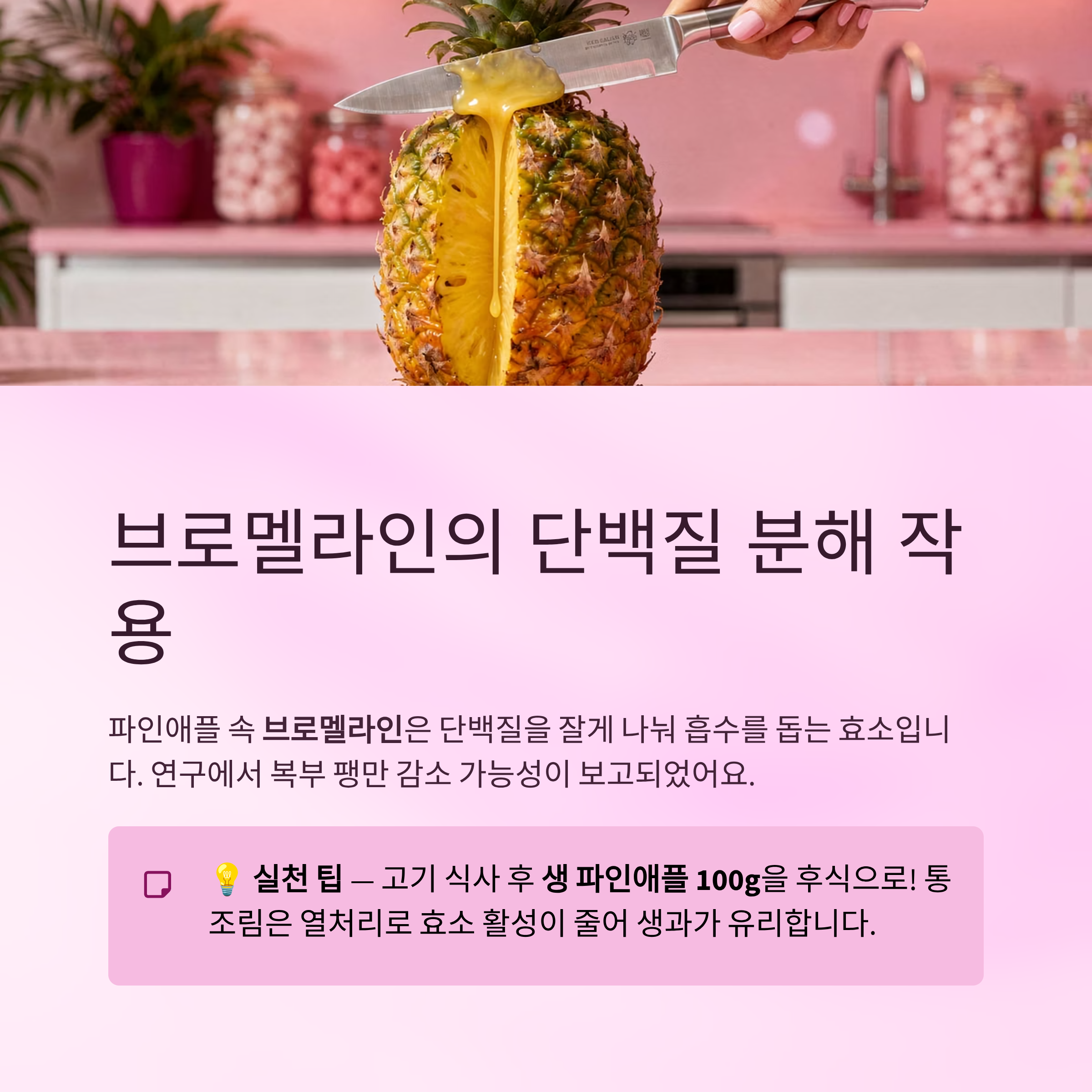 브로멜라인과 단백질 분해 작용