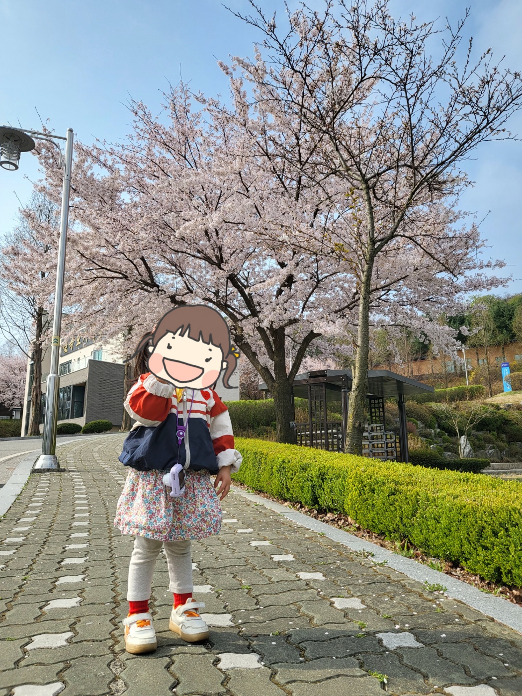 벚꽃과 아이
