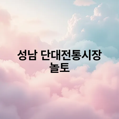 성남 단대전통시장 놀토