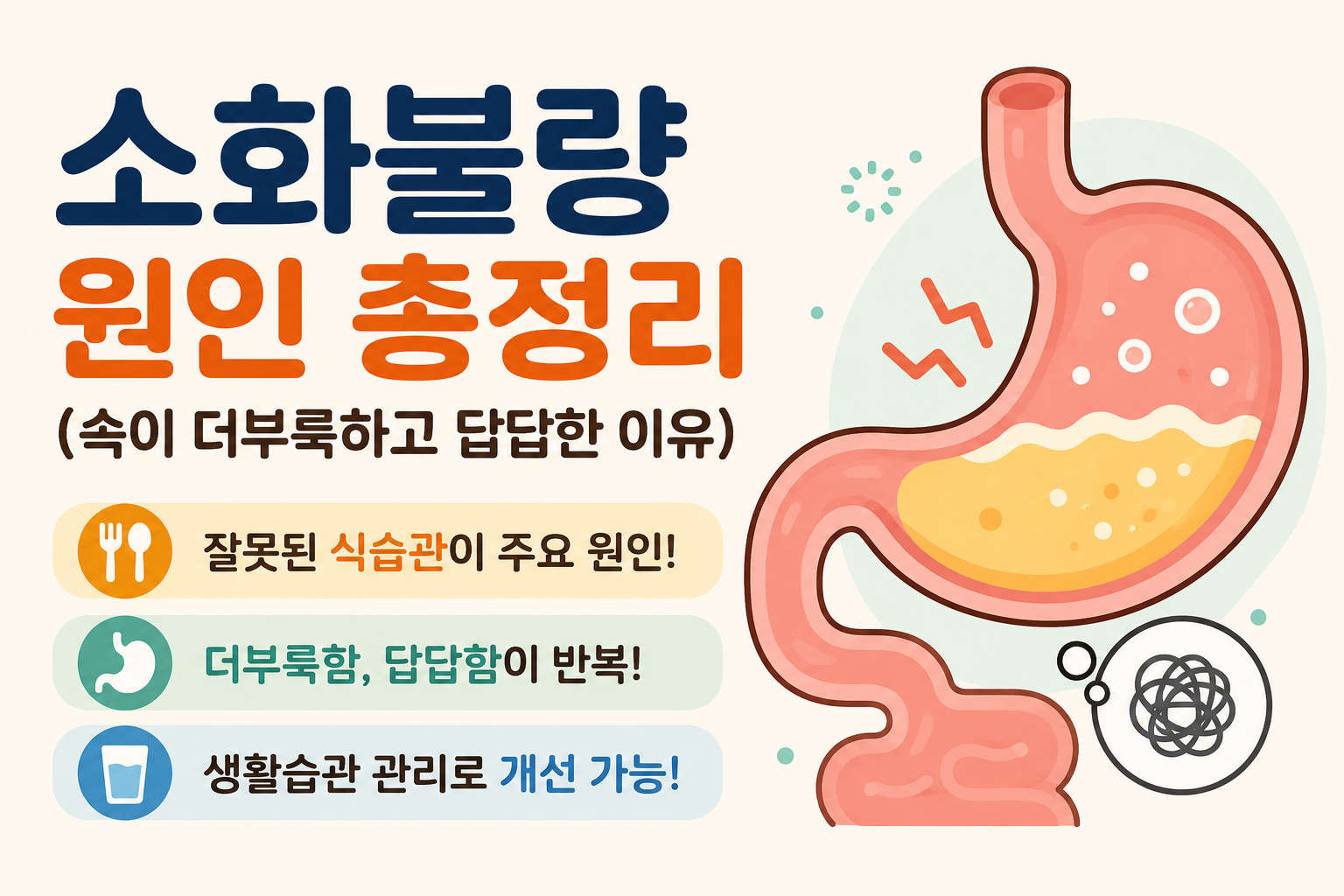 소화불량 원인 총정리 (속이 더부룩하고 답답한 이유) -사진-