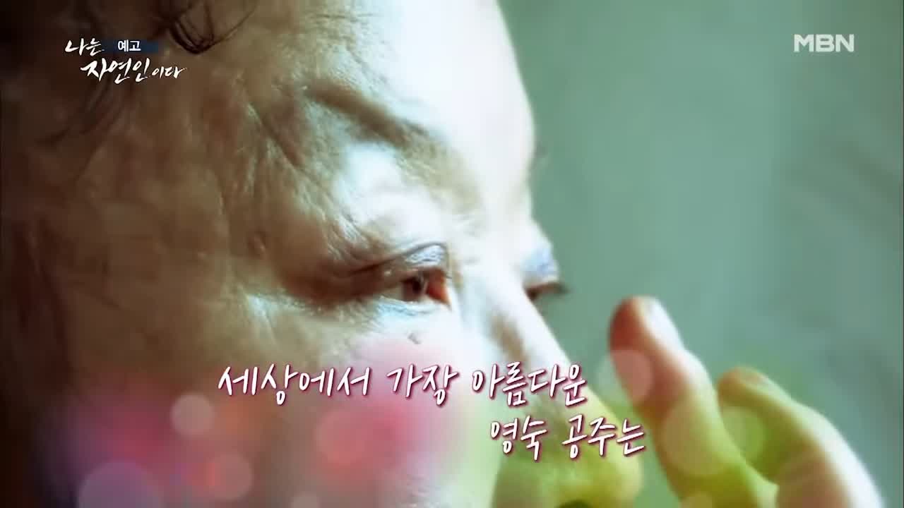 이승윤 윤택 나는 자연인이다 511회 나의 첫 독립일기 자연인 이영숙 소개 및 출연 다시보기