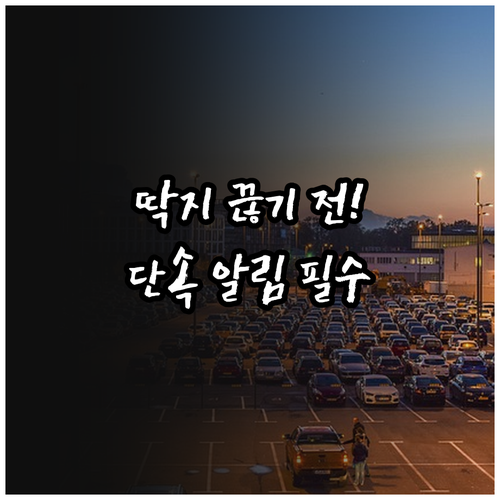 성남시 주정차 단속 알림 통합 서비스..