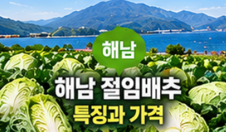 2026 절임배추 사전예약 20kg 가격 비교와 예약 시기&amp;#44; 김장 준비 방법 총정리 