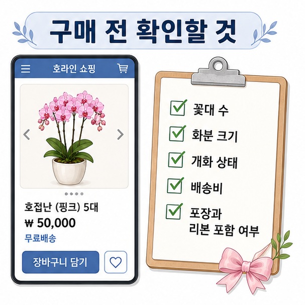 호접난을 구매하기 전에 꽃대 수와 화분 크기, 개화 상태, 배송비, 포장 포함 여부를 확인하는 모습을 정리한 이미지