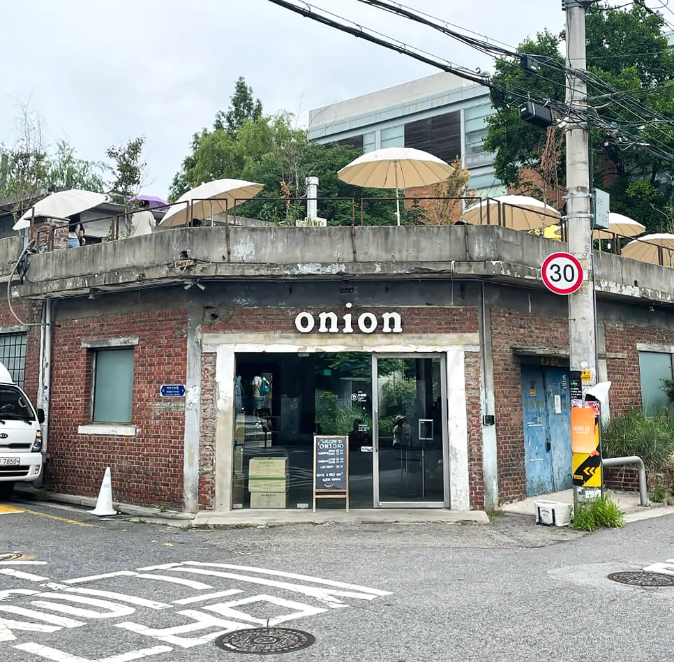 어니언 관련 사진