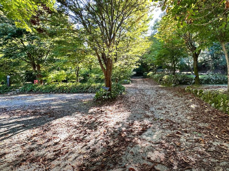 횡성자연휴양림