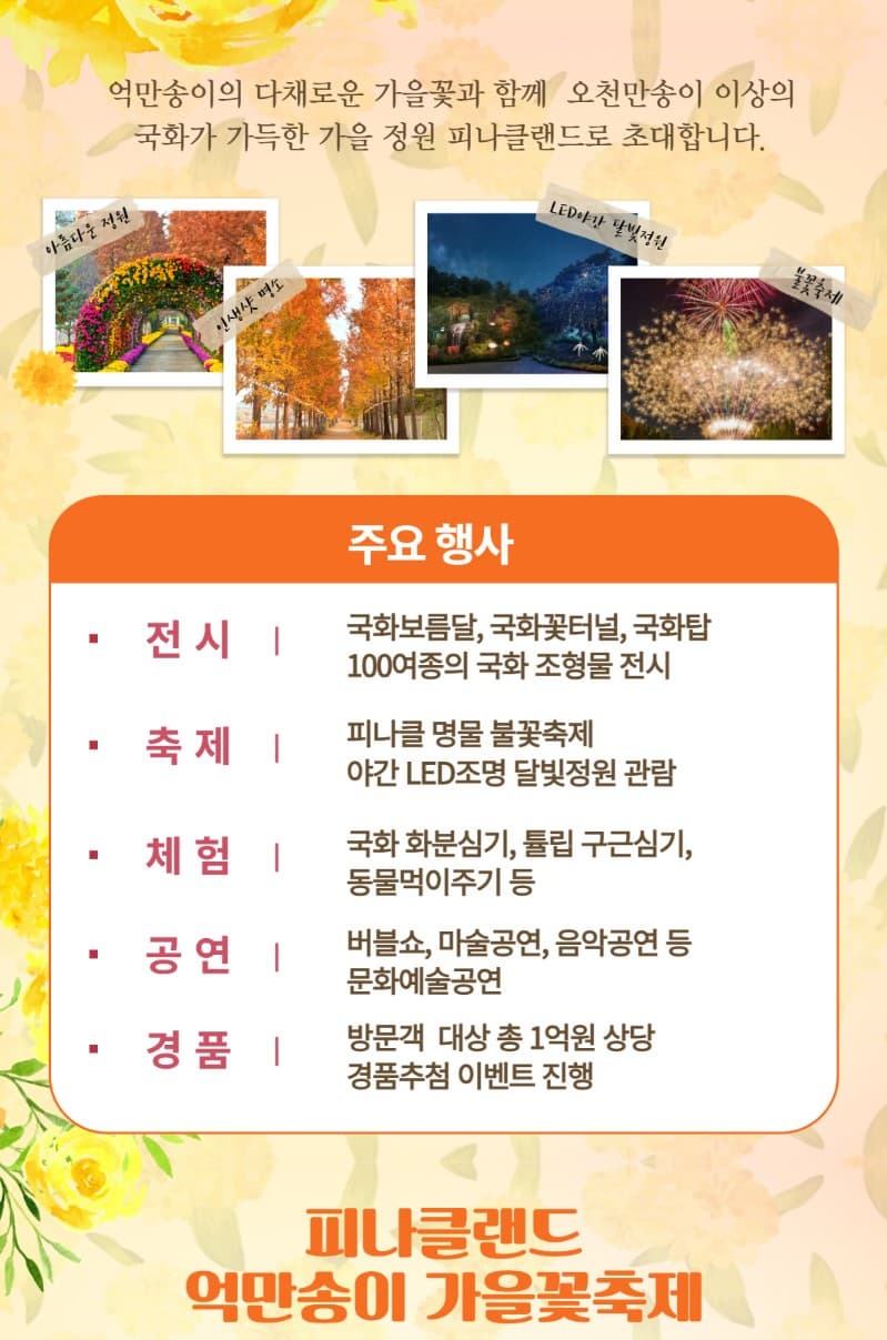 🌷 2025 피나클랜드 완벽 가이드